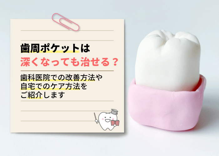 歯周ポケットは深くなっても治せる？歯科医院での改善方法や自宅でのケア方法をご紹介します